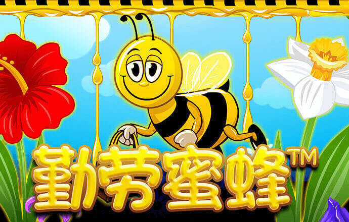 澳彩49官方网站