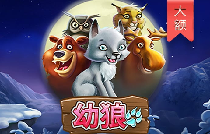 四肖期期准四肖期准开